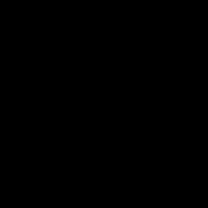 Meet your Posher, Tre